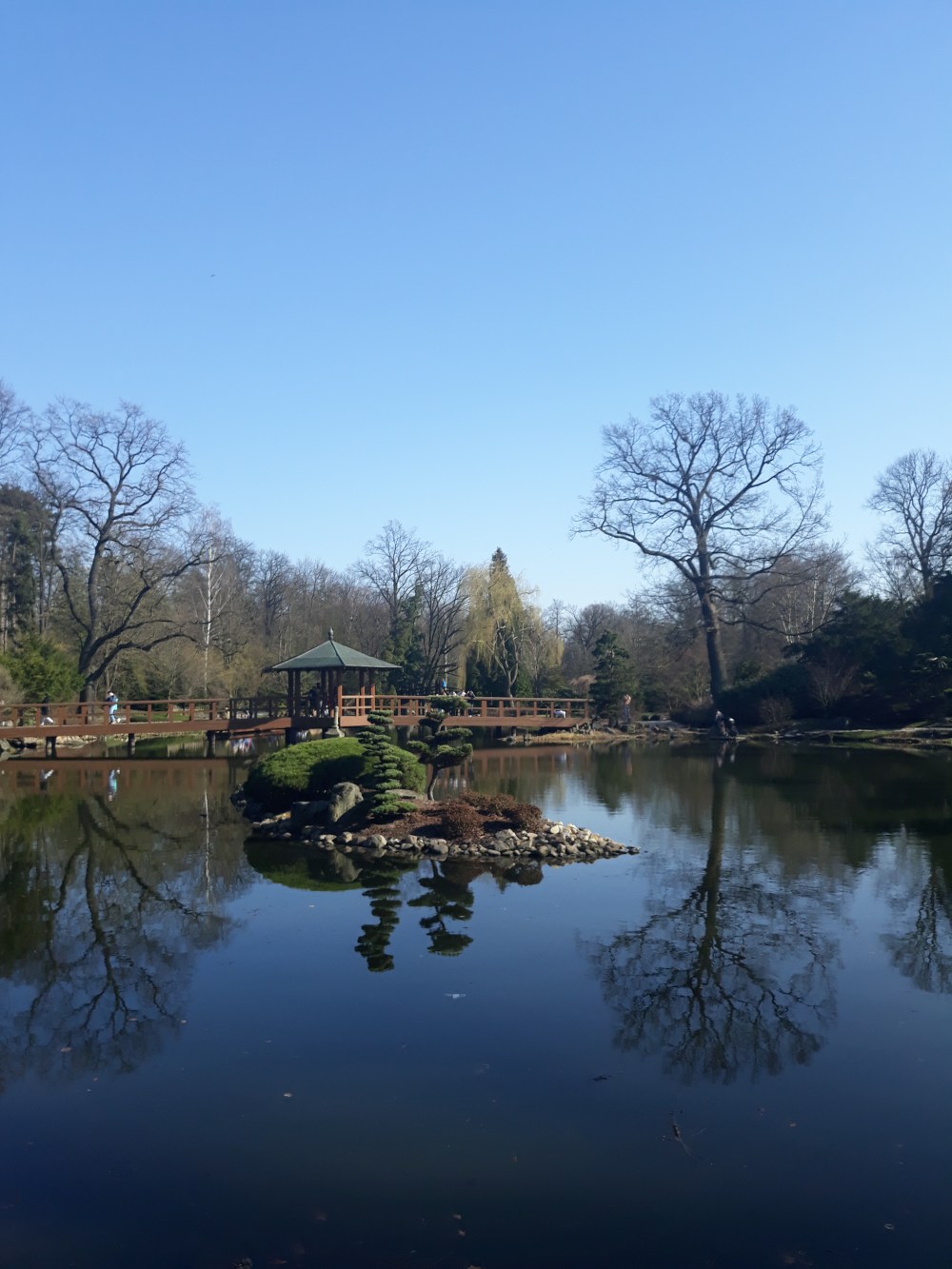 Wroclaw Giardino giapponese